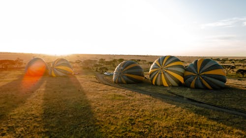 Darmowe zdjęcie z galerii z balony na gorące powietrze, safari balonowe, serengeti