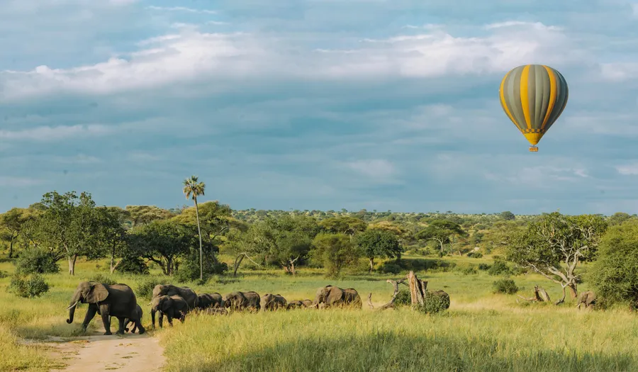 Parc national de Tarangire