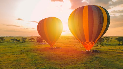 Darmowe zdjęcie z galerii z balony na gorące powietrze, safari balonowe, serengeti