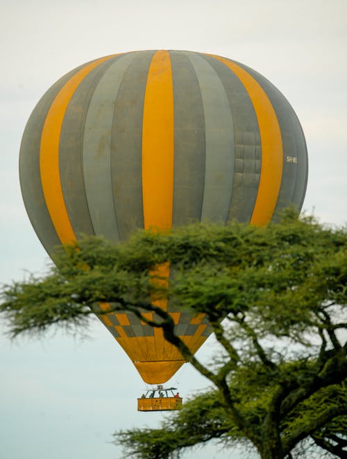 Kostenloses Stock Foto zu ballonsafaris, heißluftballons, serengeti
