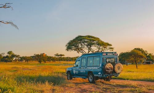 Kostenloses Stock Foto zu auto, reise, safari