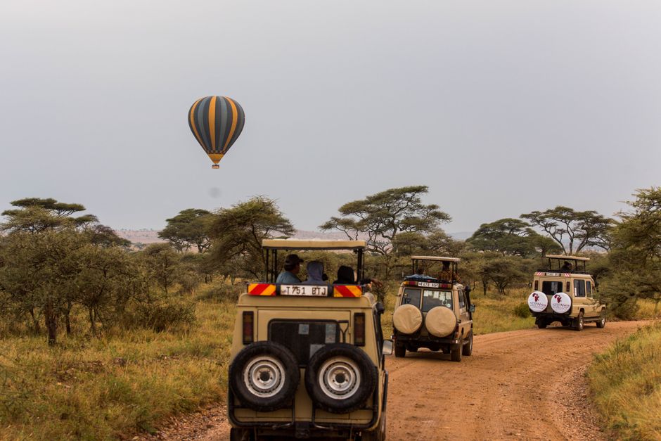 Foto de Parque Nacional de Tarangire