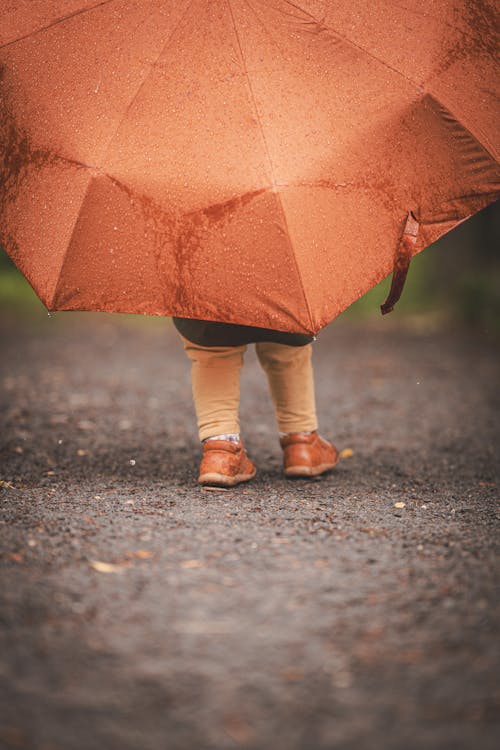 A child is holding an orange umbrella on a path