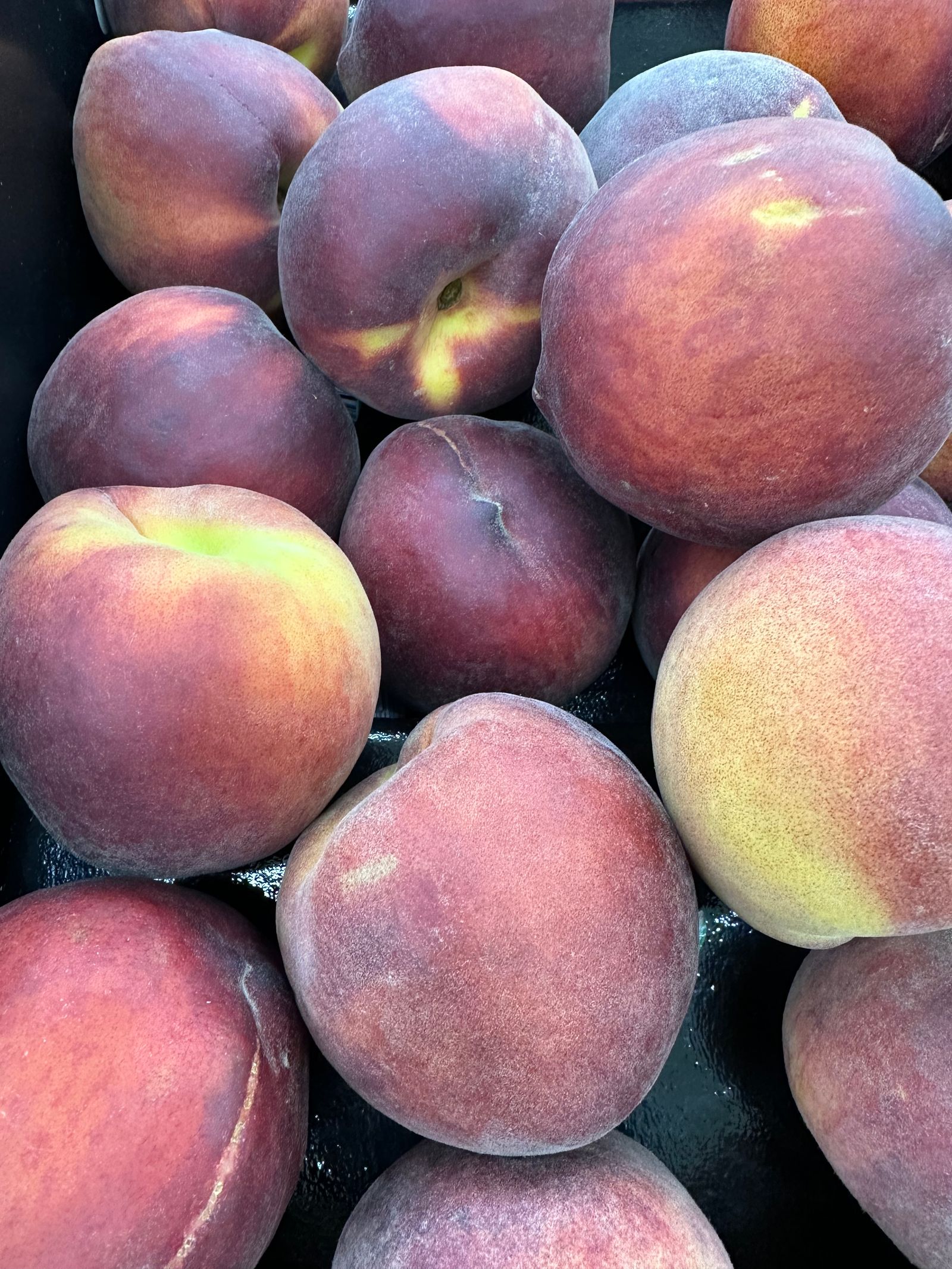 Close-Up Photo of Peach Fruit on Tree · Free Stock Photo