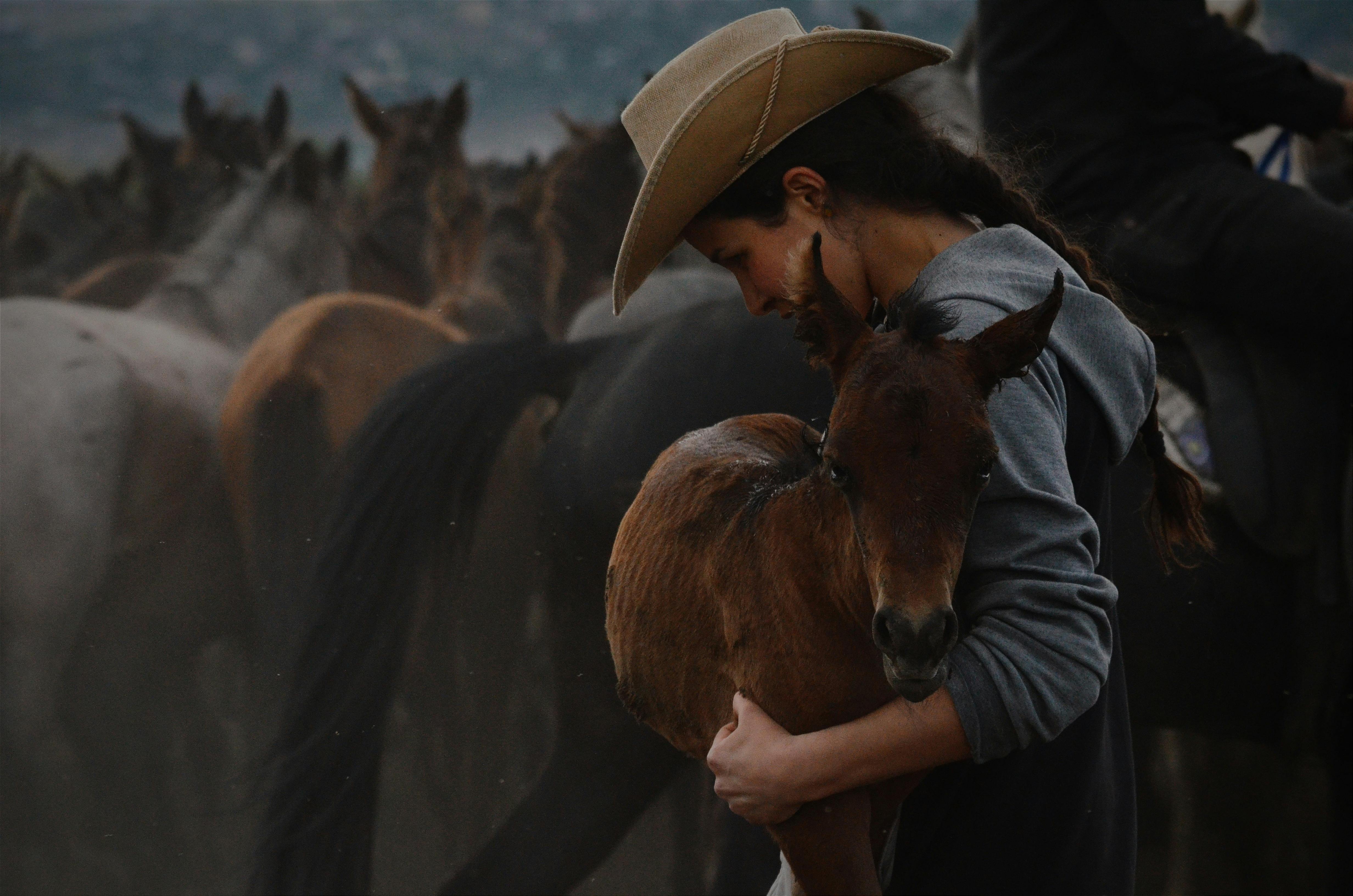 A cowgirl gently holds a young colt amidst a herd of horses in a rural setting.