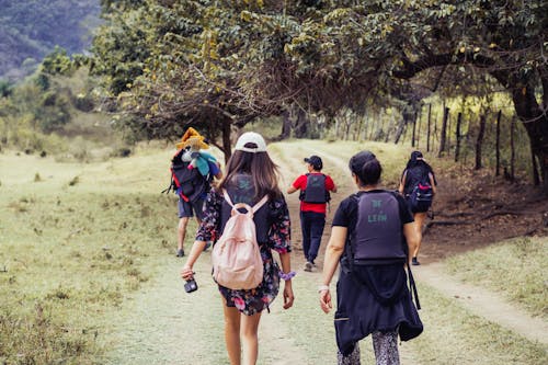 Δωρεάν στοκ φωτογραφιών με backpackers, αγροτικός, δέντρα