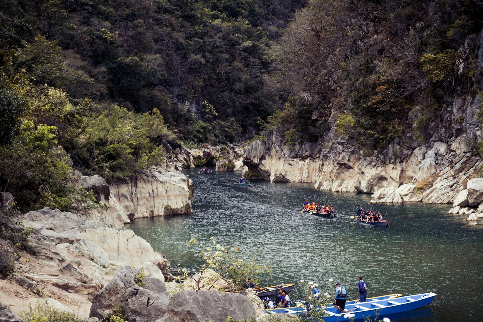 People kayaking through a green river canyon.