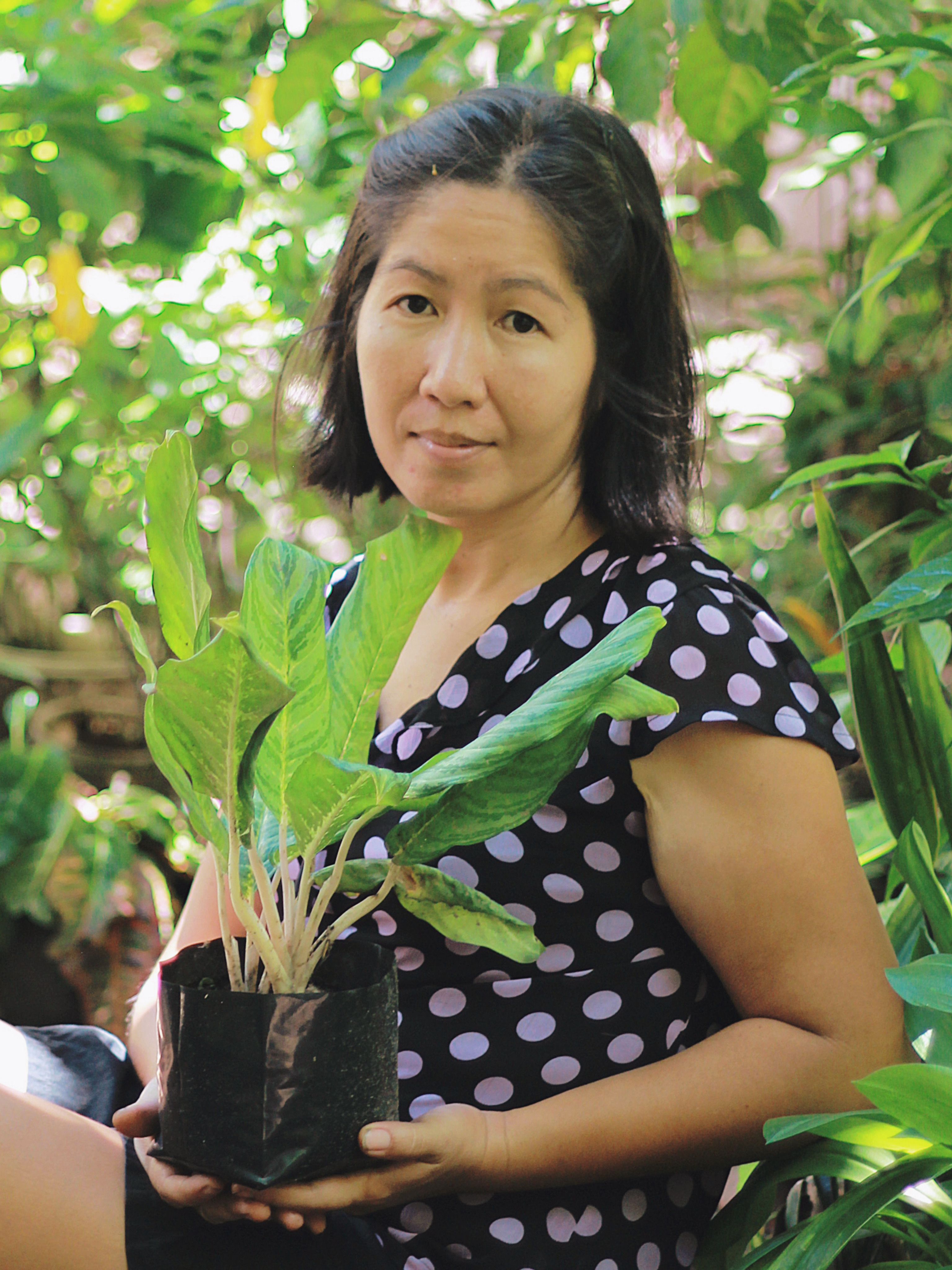 Woman in polka dot blouse holding a potted plant, surrounded by lush greenery, captured in an outdoor setting.