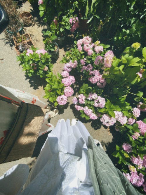 ayakta, bitkiler, çanta içeren Ücretsiz stok fotoğraf