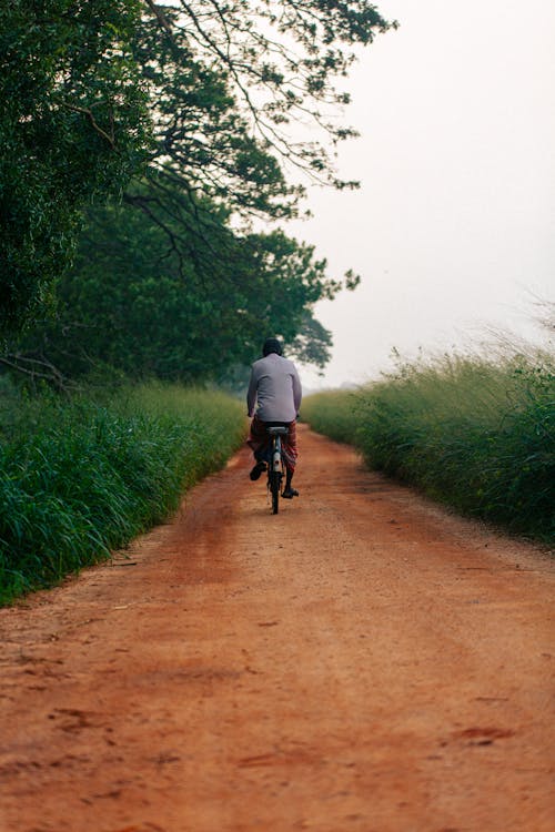 Foto d'estoc gratuïta de arbres, bici, camí de carro
