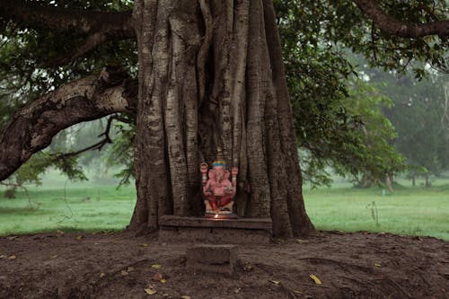 Darmowe zdjęcie z galerii z bóg, indie, kultura hinduska
