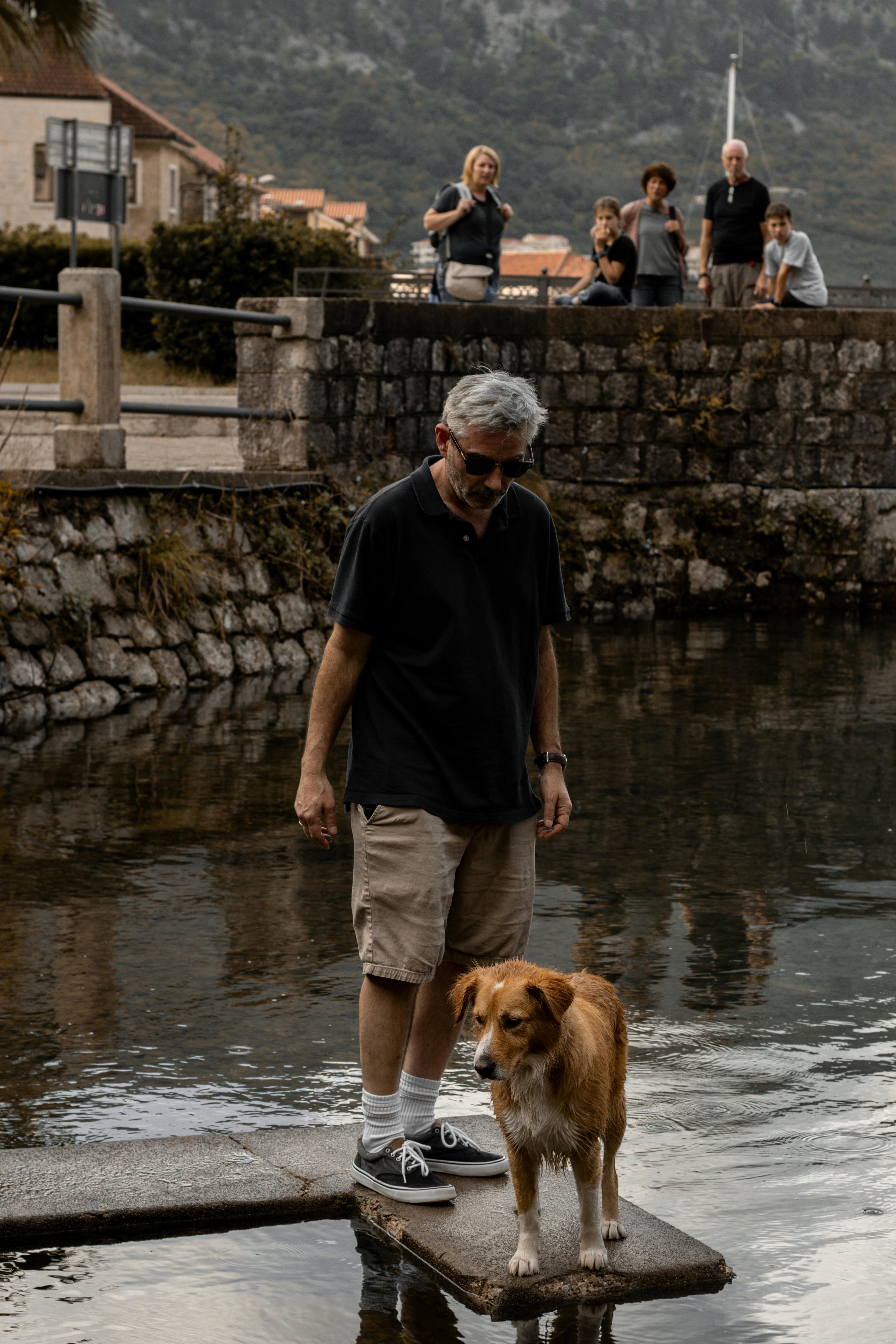Curious red dog by the river
