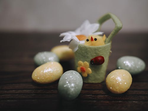 계란, 꽃, 목조의 무료 스톡 사진