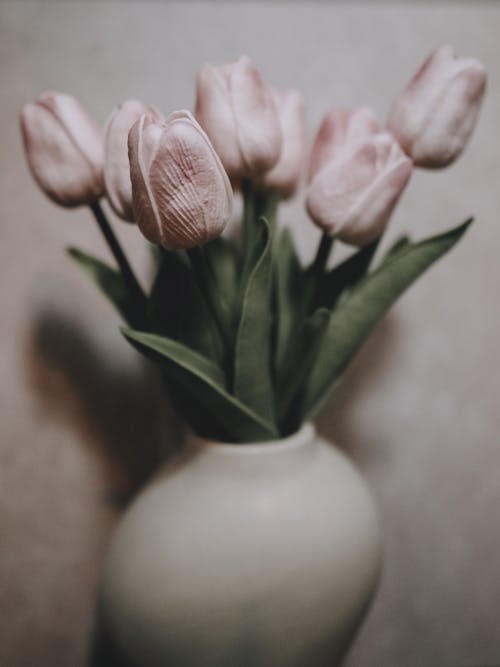 A white vase with pink tulips in it