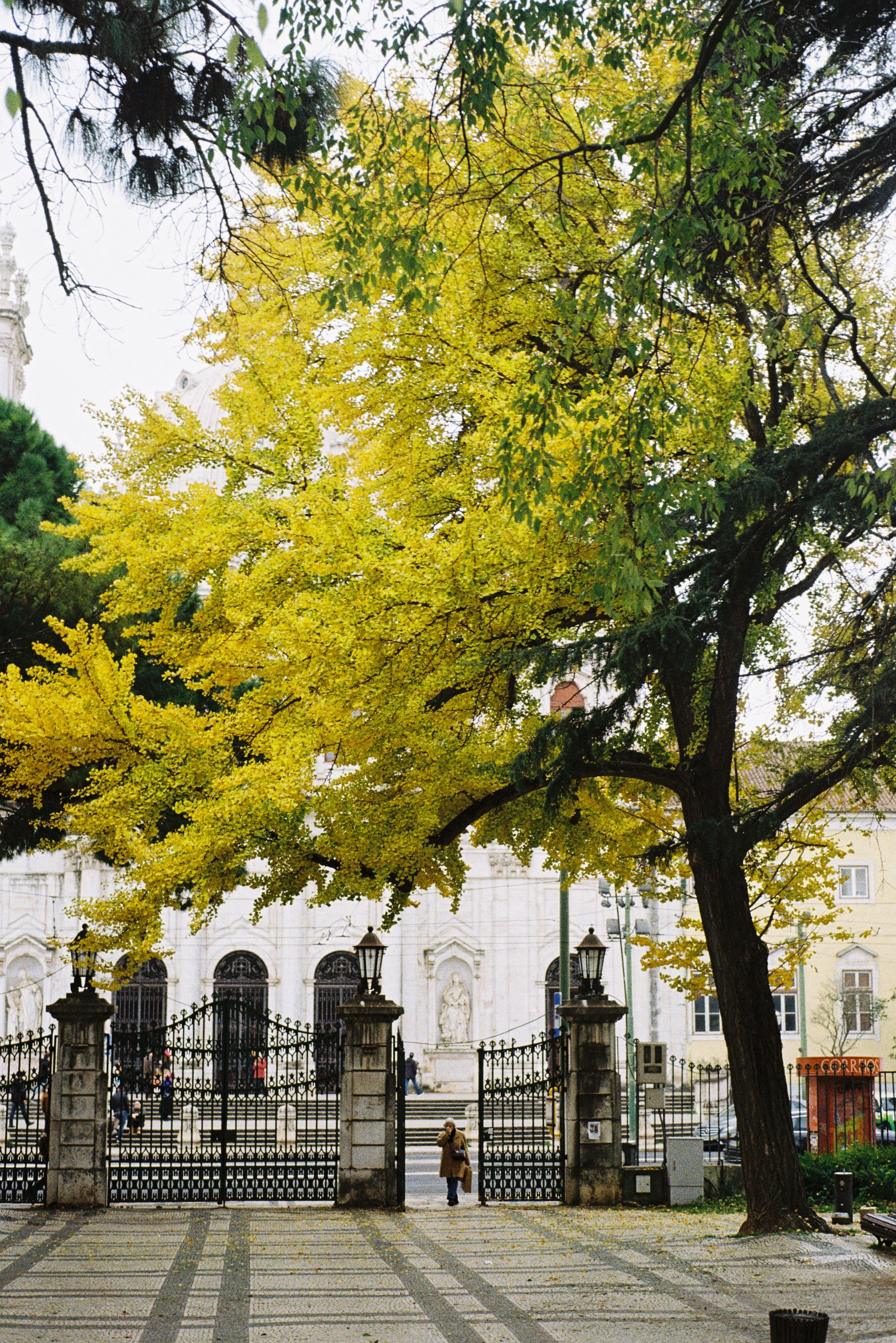 Charming Lisbon park scene with autumn foliage and elegant gates, perfect for urban nature themes.