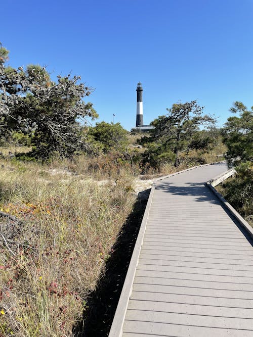 木製遊歩道, 澄んだ青い空, 灯台の無料の写真素材
