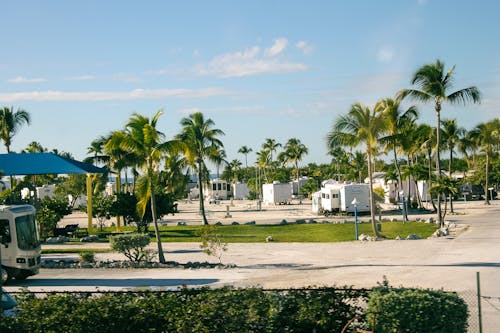 A view of an rv park with palm trees and a beach