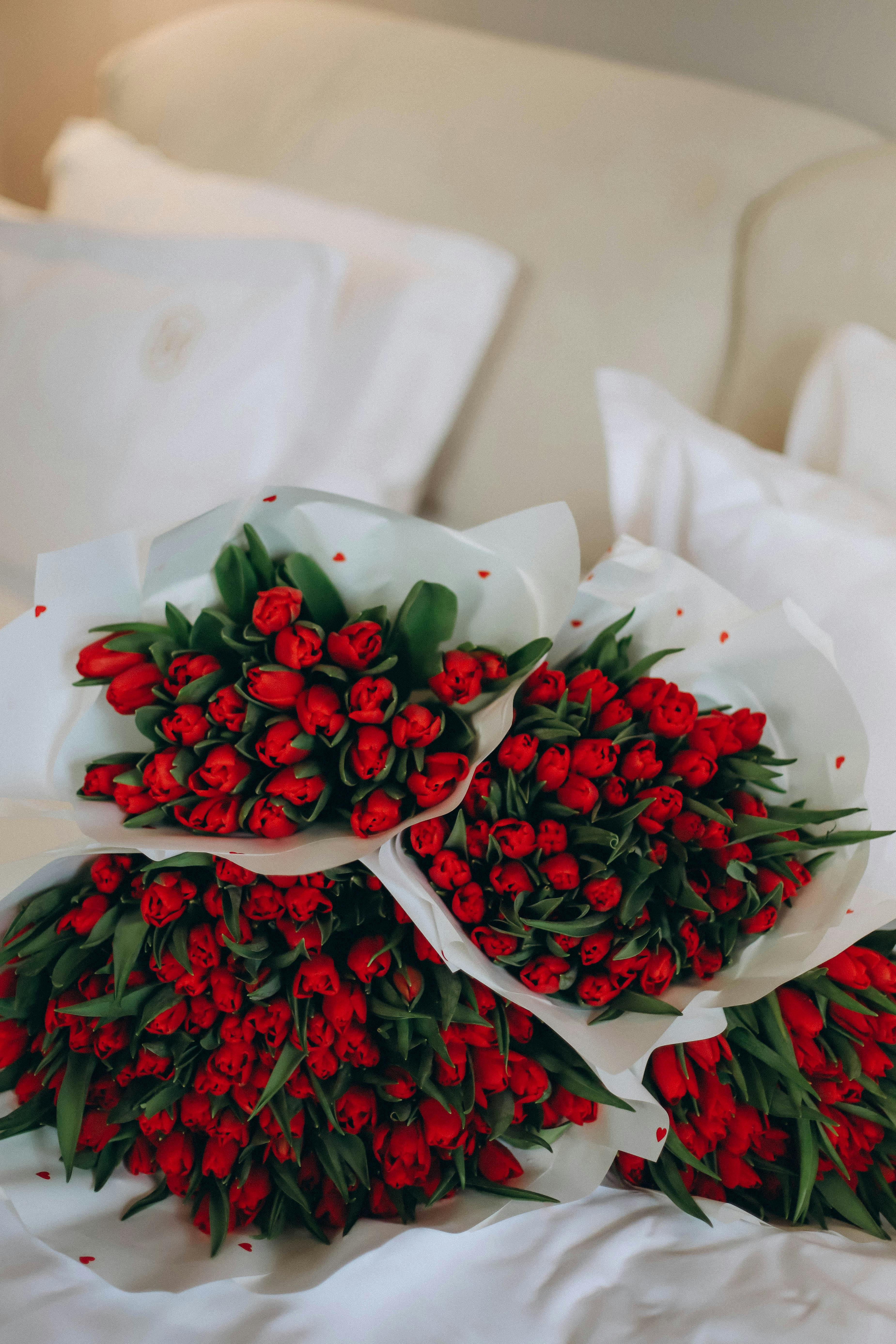 An elegant collection of red tulip bouquets beautifully arranged on a soft white background.