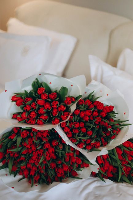 An elegant collection of red tulip bouquets beautifully arranged on a soft white background.