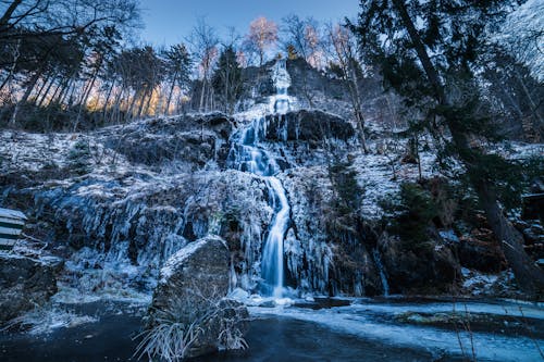 Foto d'estoc gratuïta de a l'aire lliure, aigua, arbres