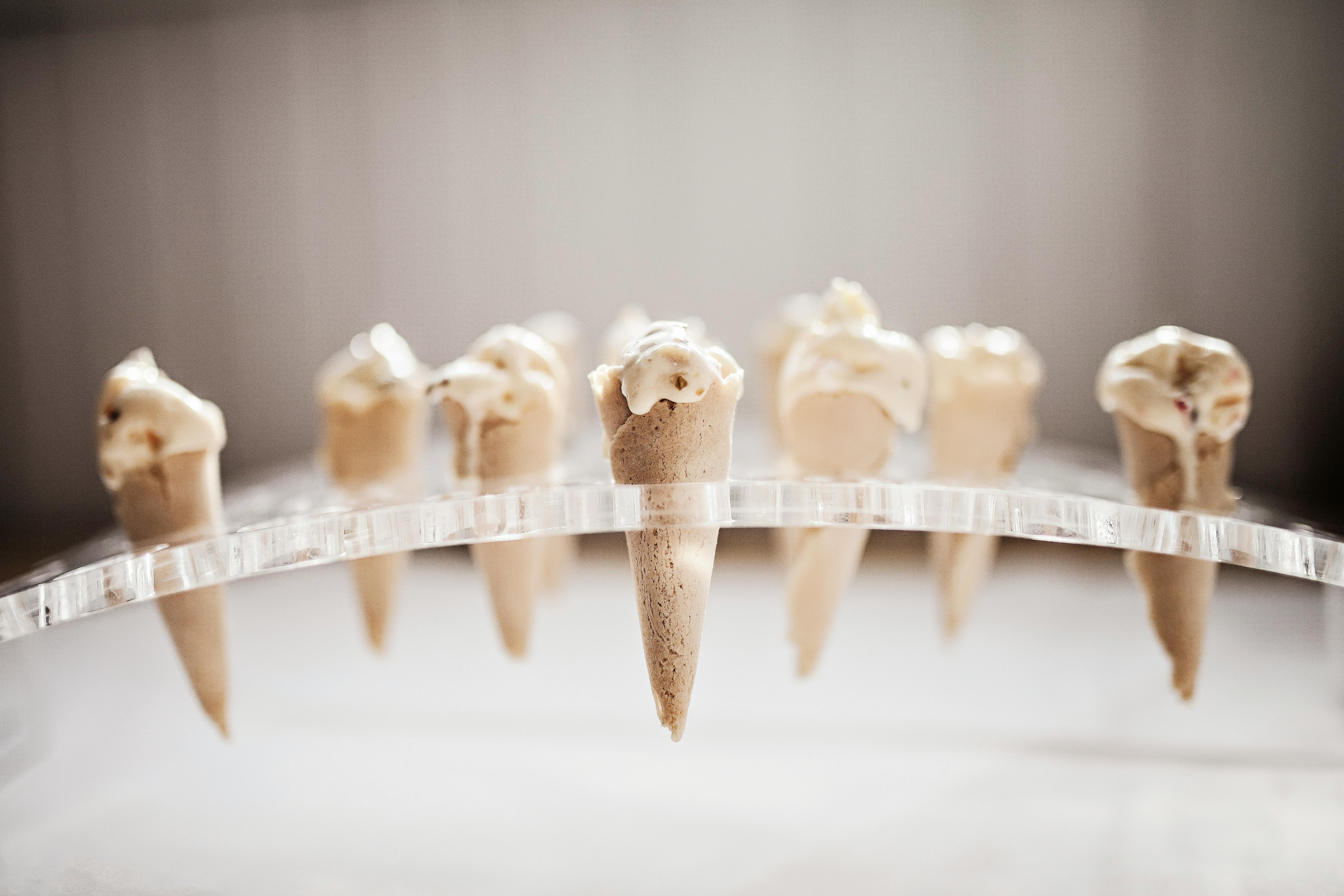 Step 4: The Art of Arrangement: Creating a Visually Appealing Display