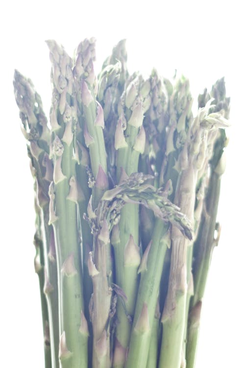 Gratis lagerfoto af asparges, grønne, madfotografering