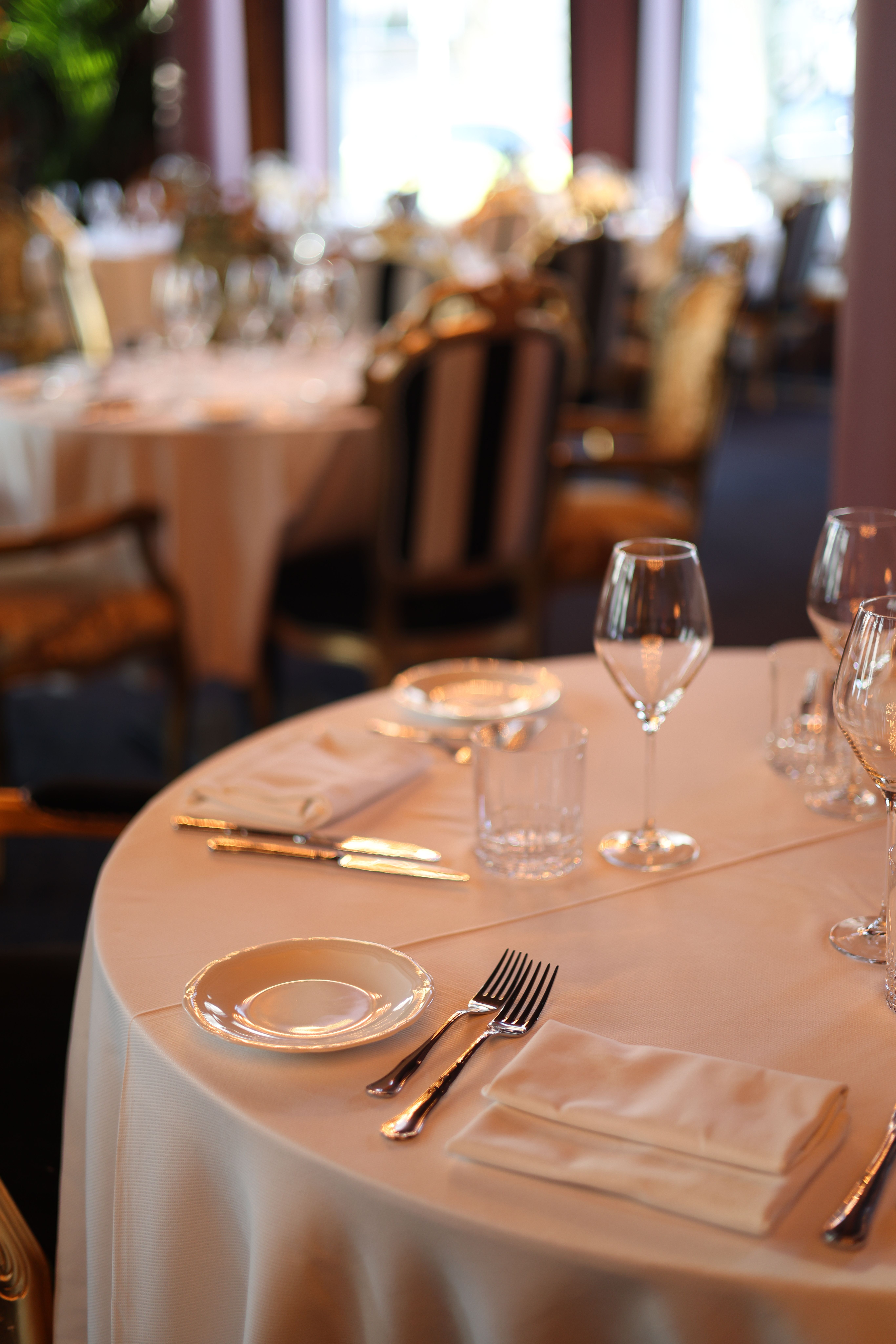 Table Cover & Table Cloth