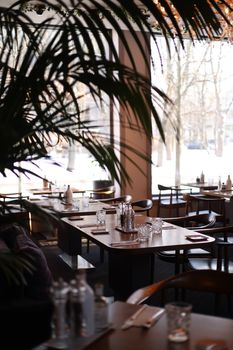 Elegant restaurant interior with sunlight, tables set for dining, and lush potted plants.
