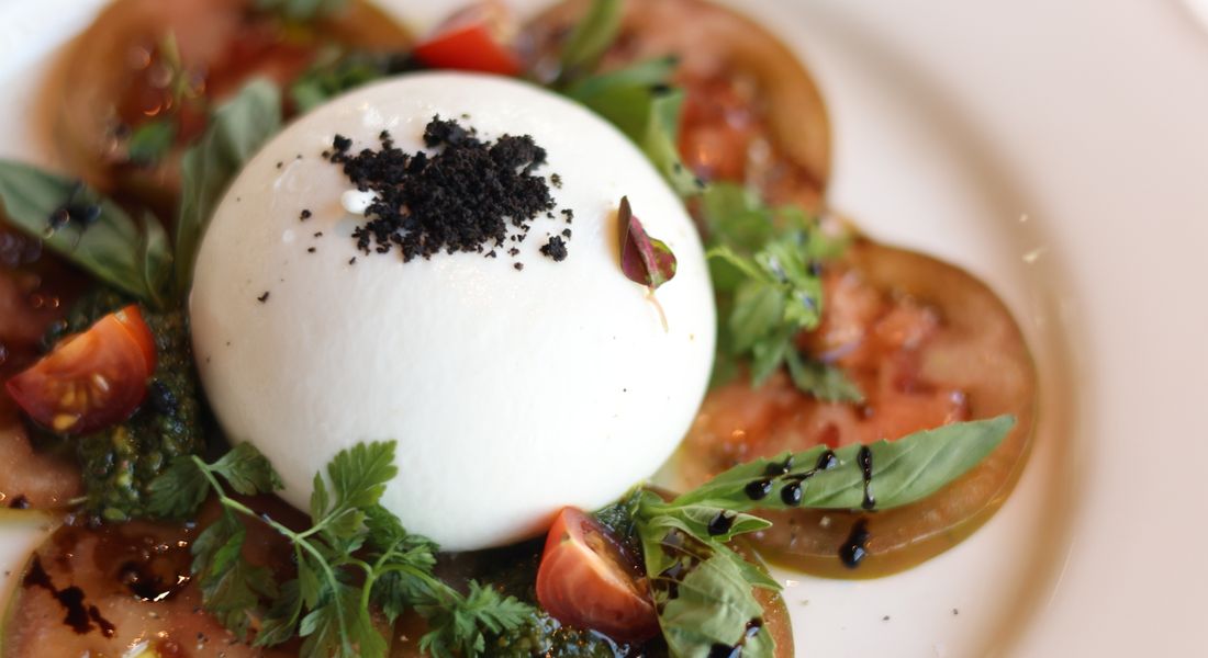 Burrata with tomatoes and herbs on a plate