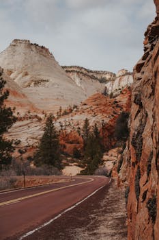 Explore the natural beauty of Zion National Park with its iconic red rock formations and winding roads.