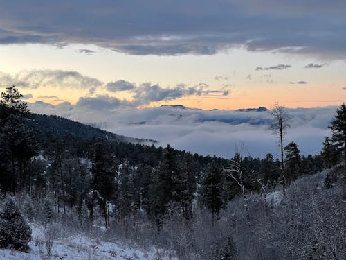 Foto profissional grátis de caminhar, Colorado, floresta