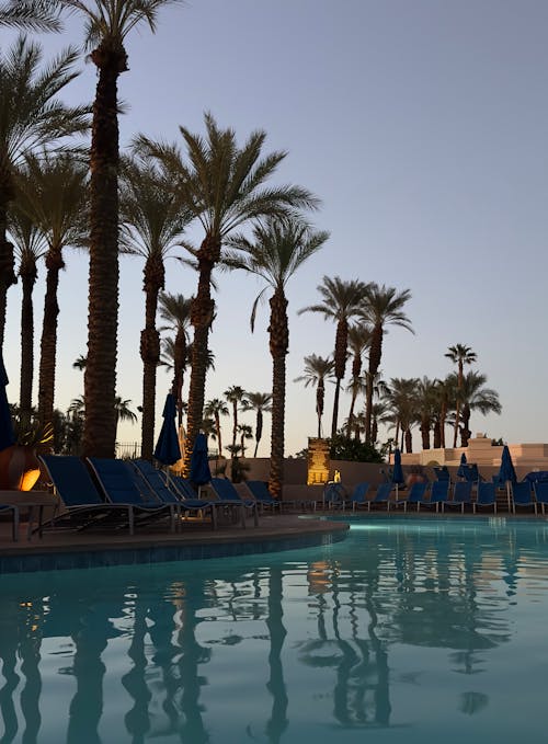 Palm  Springs Resort
