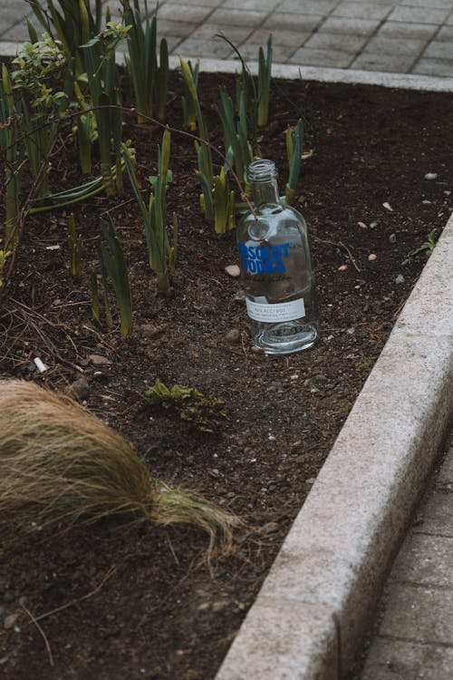 Empty Bottle of Vodka by Plants in City