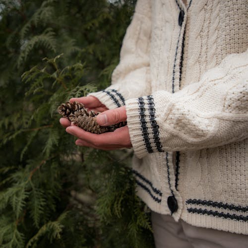 A person wearing (the Taylor Swift Folklore) cardigan holding a  handful of pine cones (Jovan Vasiljević Photography)