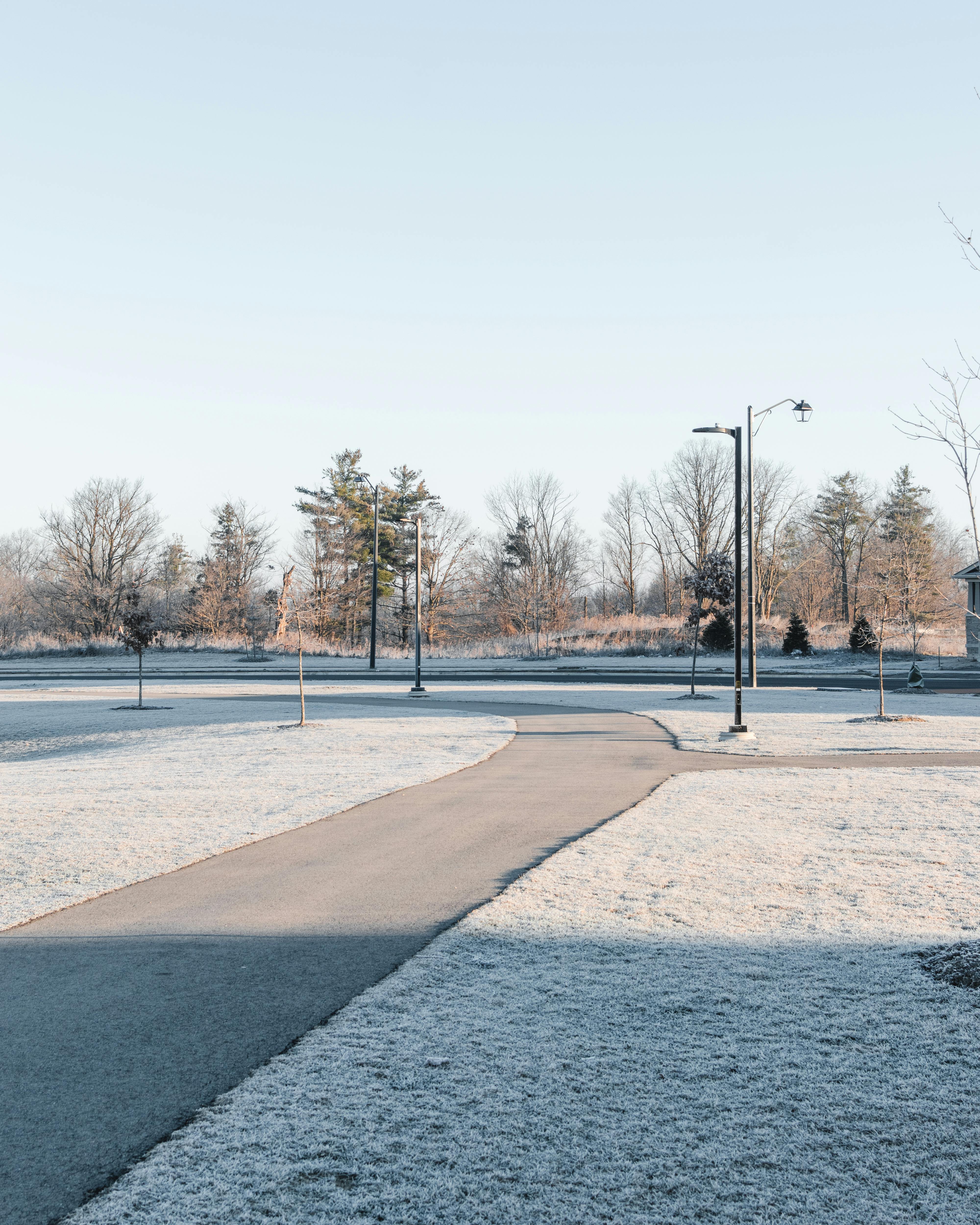 A serene winter landscape in Caledonia, ON, Canada, showcasing a frosty footpath amidst bare trees.