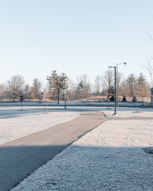 A Footpath in Winter