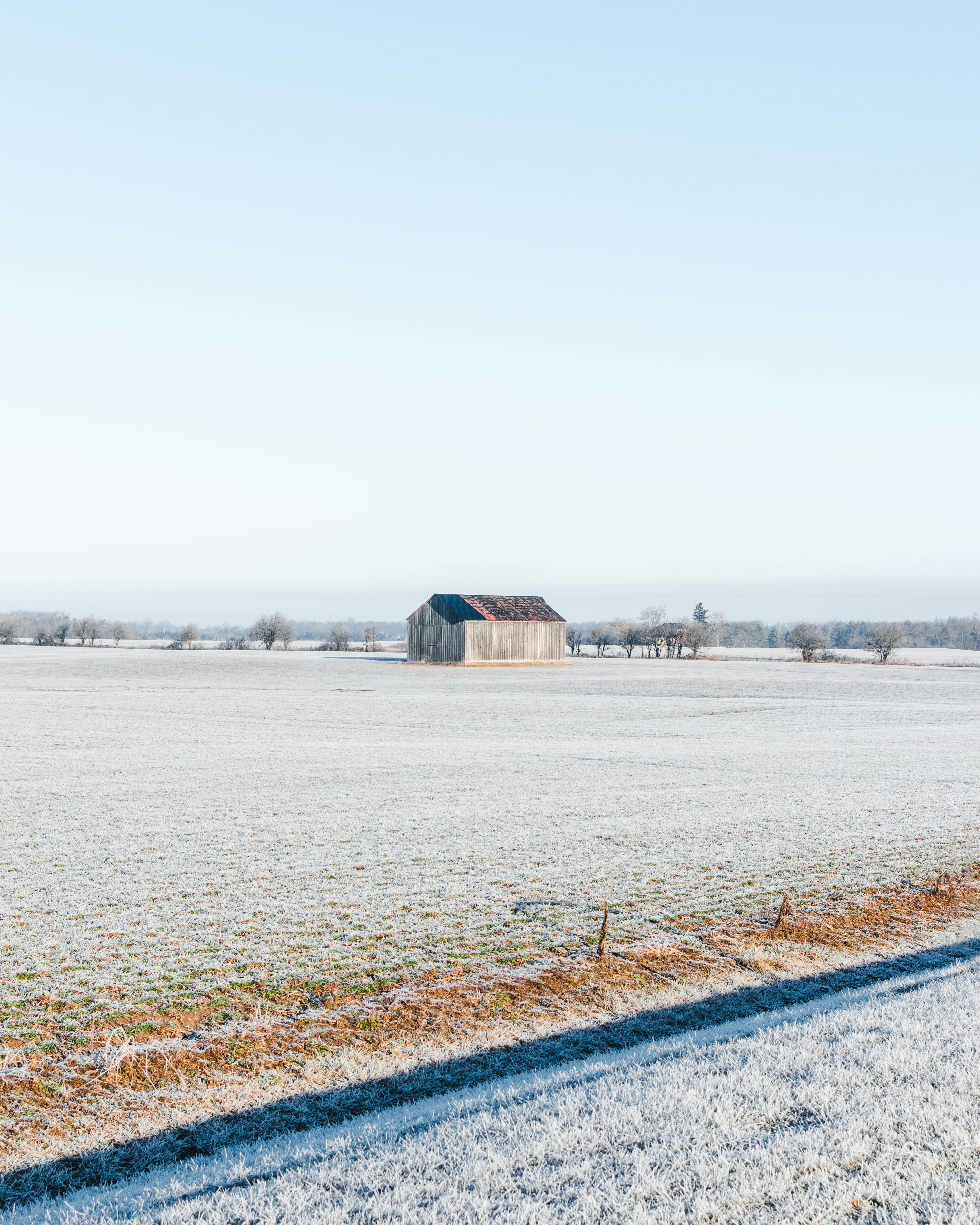 Serene snowy field with a rustic barn in rural Caledonia, Ontario during winter.