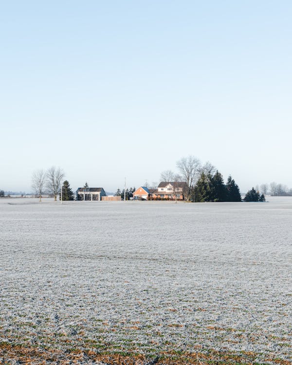 Kostnadsfri bild av bondgård, fält, frost