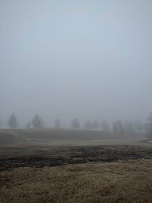 duvar kağıdı, estetik, grunge duvar kağıdı içeren Ücretsiz stok fotoğraf