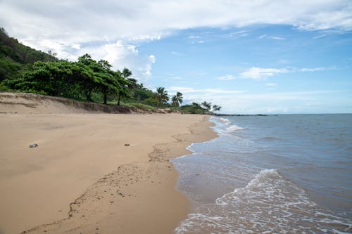 A sandy beach with a blue sky and green trees