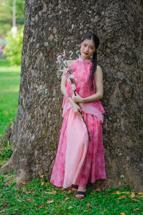 Fotos de stock gratuitas de árbol, cabello moreno, flores