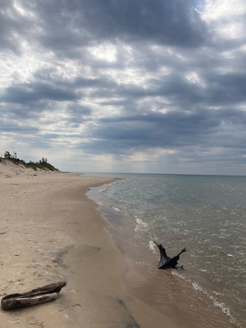 A dog is running on the beach near the water