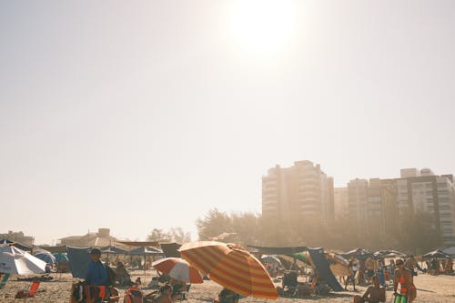 Foto profissional grátis de amontoado, areia, ensolarado