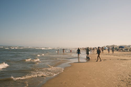 คลังภาพถ่ายฟรี ของ ชายหาด, ทราย, ผู้คน