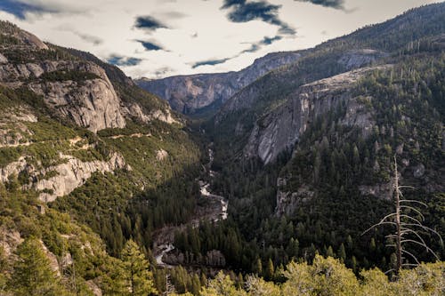 Yosemite Mountains National Park
