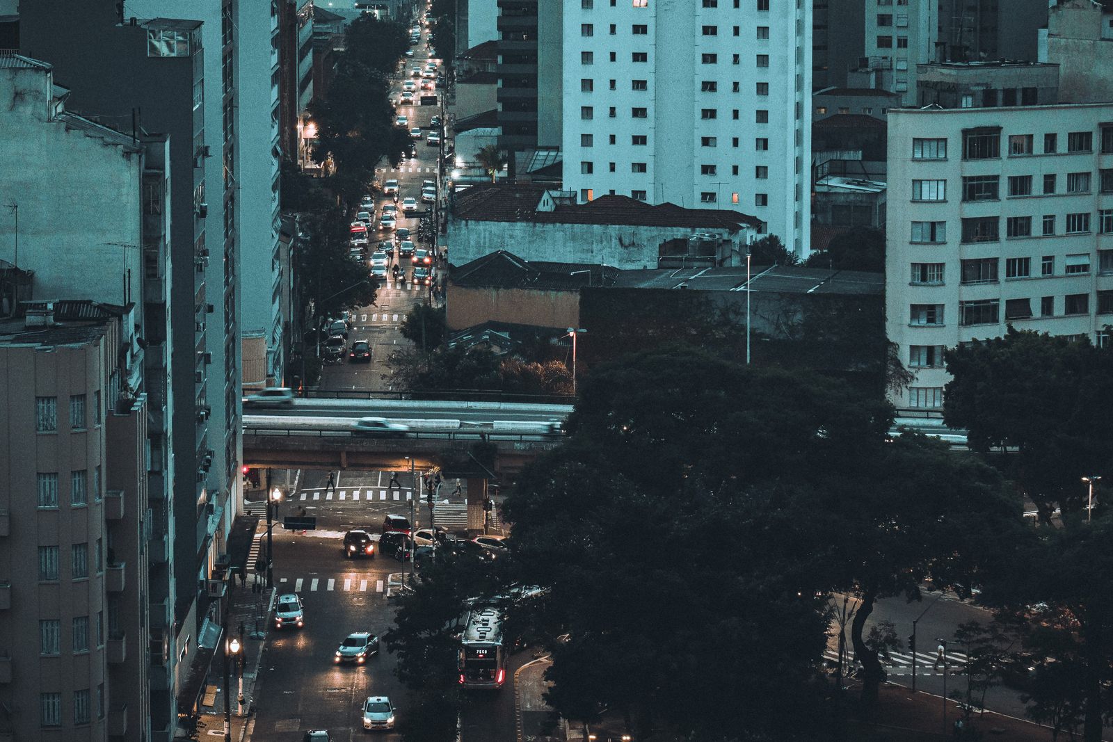 pexels photo 20186779