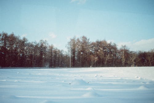 A snow covered field with trees in the background