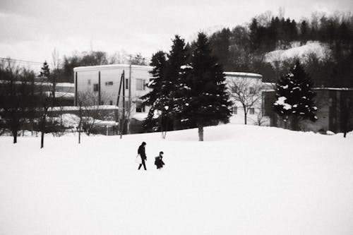 A person walking through the snow with a kite