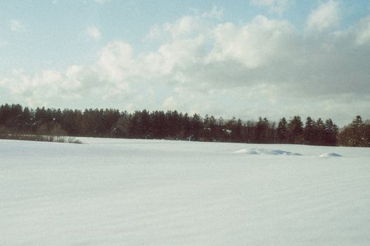 Tranquil winter scene of snow-covered fields and trees in Hokkaido, Japan.