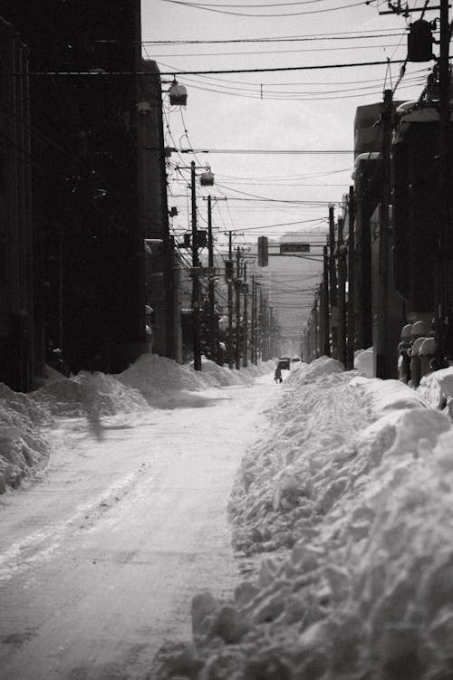 Fotos de stock gratuitas de blanco y negro, calle, calles de la ciudad